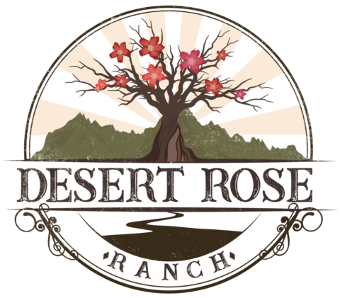 Desert Rose Movie Ranch